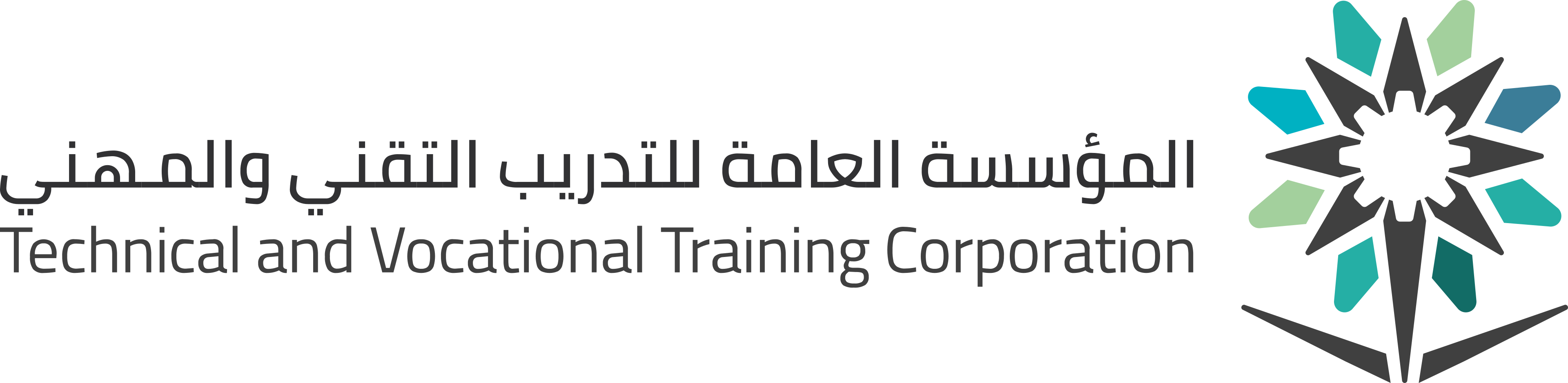 شعار شريك - TVTC